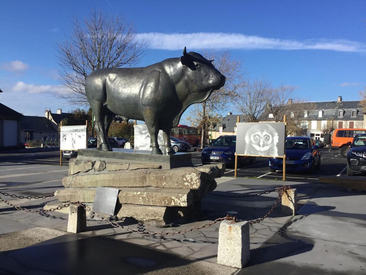 Lo Vedelièr d'AUBRAC Appartamento Laguiole Esterno foto