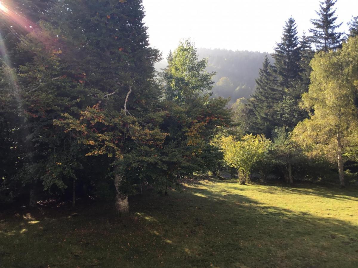 Lo Vedelièr d'AUBRAC Appartamento Laguiole Esterno foto