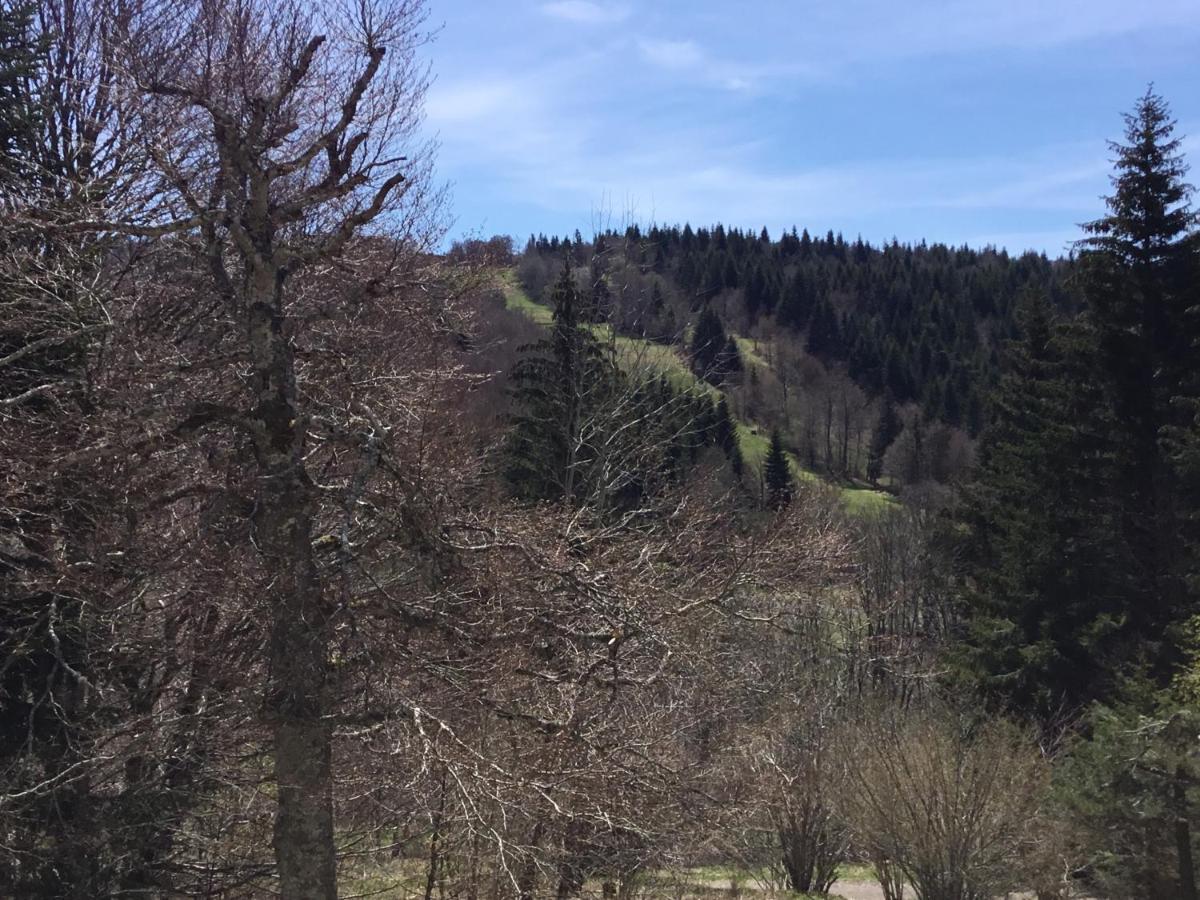 Lo Vedelièr d'AUBRAC Appartamento Laguiole Esterno foto