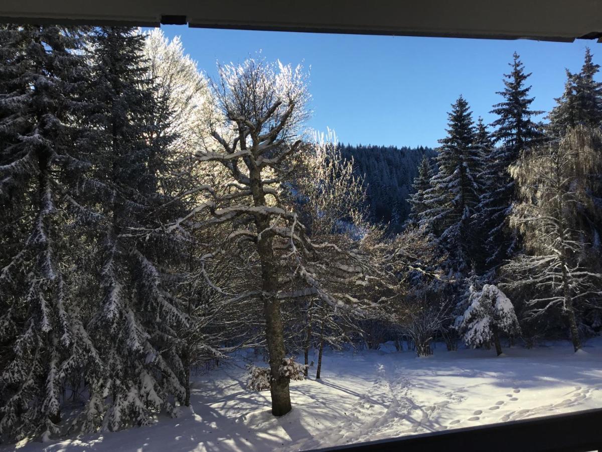 Lo Vedelièr d'AUBRAC Appartamento Laguiole Esterno foto