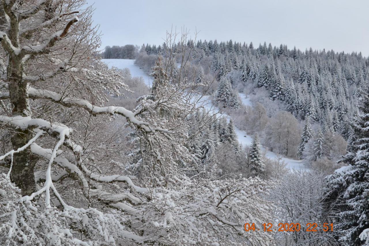 Lo Vedelièr d'AUBRAC Appartamento Laguiole Esterno foto