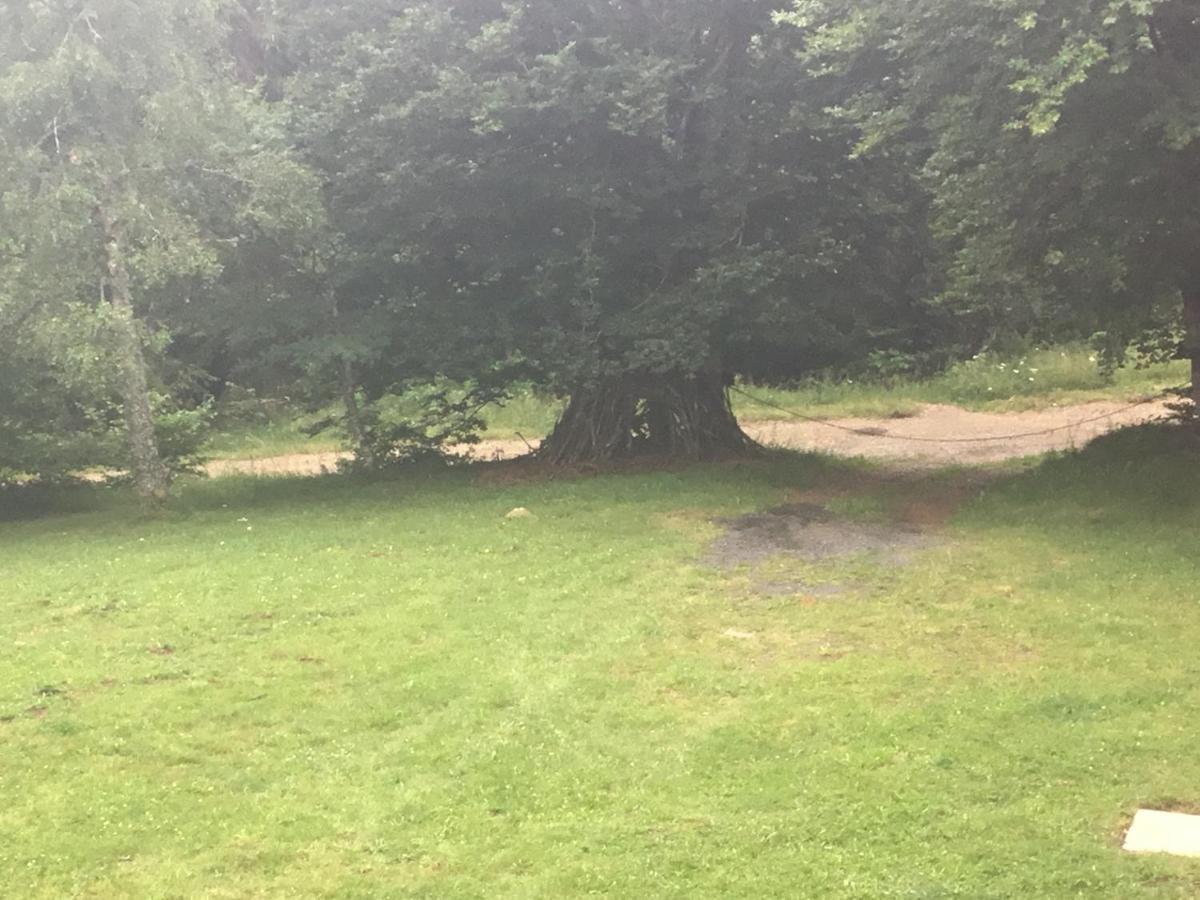 Lo Vedelièr d'AUBRAC Appartamento Laguiole Esterno foto